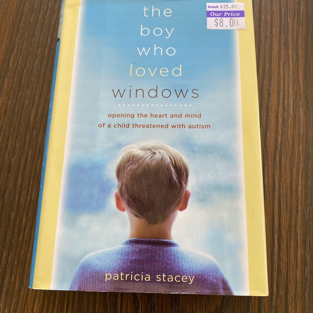 The Boy Who Loved Windows Book by Patricia Stacey